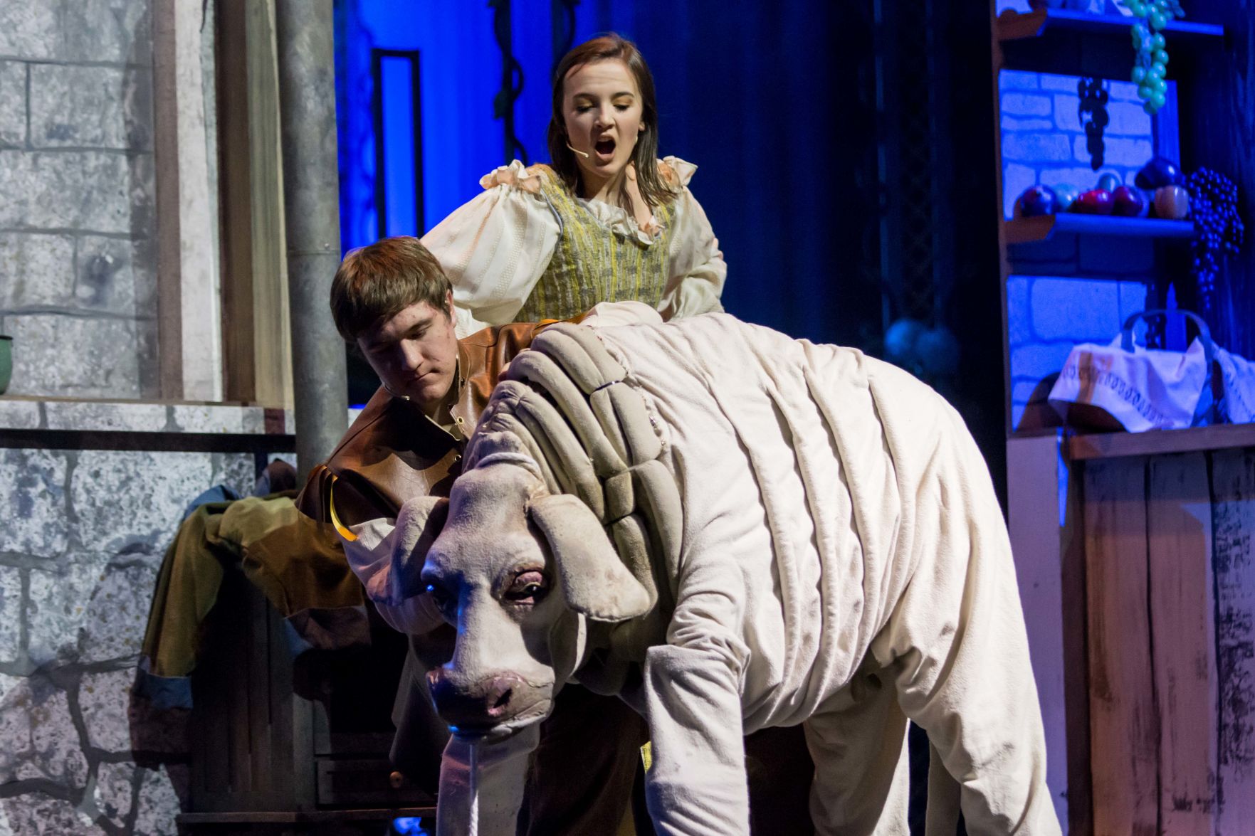 Into the Woods 3
